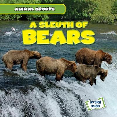 Cover of A Sleuth of Bears