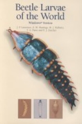 Cover of Beetle Larvae of the World