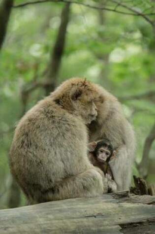 Cover of Barbary Macaque Monkey Family Journal