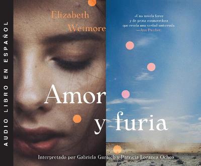 Book cover for Amor Y Furia (Valentine)