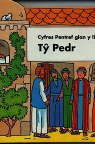 Cover of Cyfres Pentref Glan y Llyn: Ty Pedr
