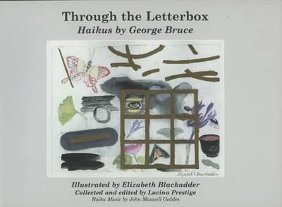 Book cover for Through the Letterbox