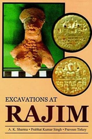 Cover of Excavations ar Rajim