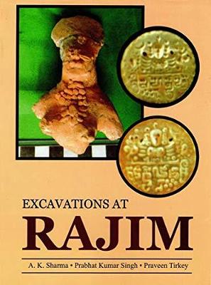 Book cover for Excavations ar Rajim