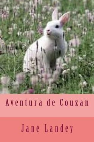 Cover of Aventura de Couzan