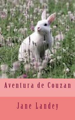 Book cover for Aventura de Couzan