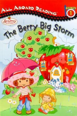 Cover of The Berry Big Storm