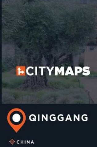 Cover of City Maps Qinggang China