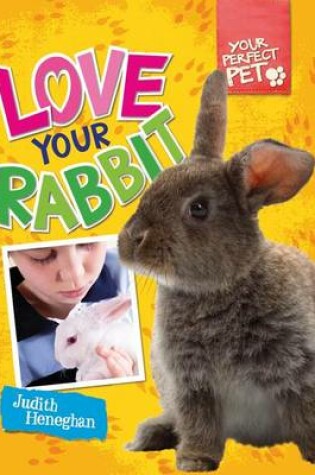 Cover of Love Your Rabbit