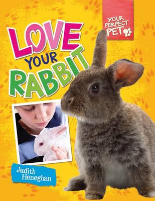 Book cover for Love Your Rabbit