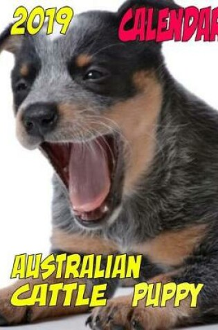 Cover of 2019 Calendar Australian Cattle Puppy