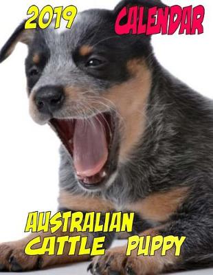 Book cover for 2019 Calendar Australian Cattle Puppy