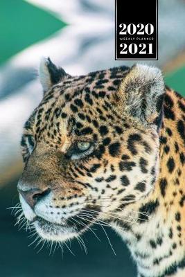 Book cover for Panther Leopard Cheetah Cougar Week Planner Weekly Organizer Calendar 2020 / 2021 - Focused View