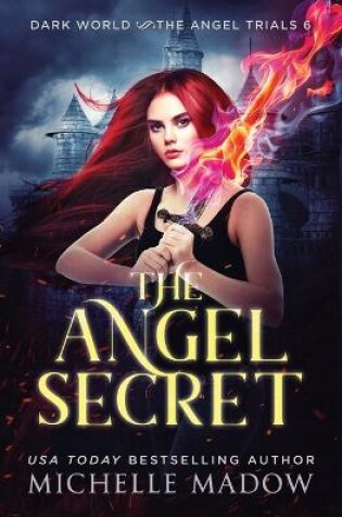 Cover of The Angel Secret