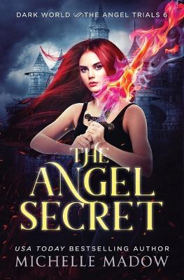 Book cover for The Angel Secret
