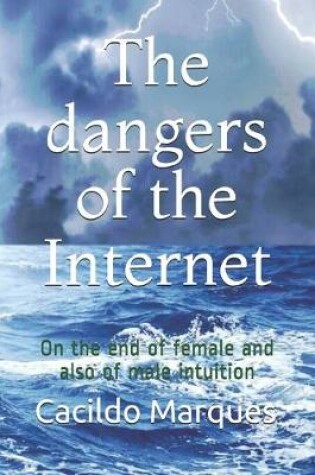 Cover of The dangers of the Internet