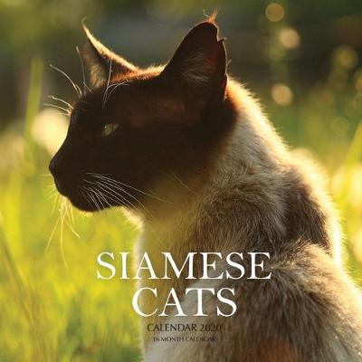 Book cover for Siamese Cats Calendar 2020