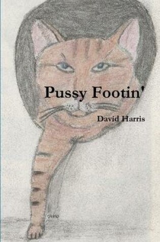 Cover of Pussy Footin'