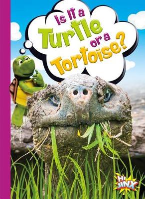 Book cover for Is It a Turtle or a Tortoise?