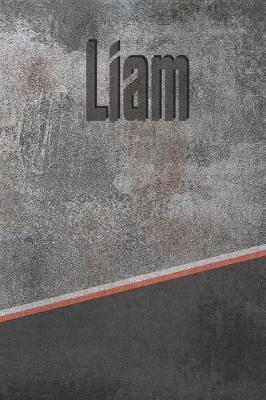 Book cover for Liam