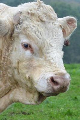 Book cover for Handsome White Bull Portrait Journal