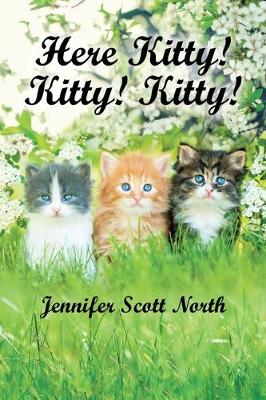 Book cover for Here, Kitty! Kitty! Kitty!