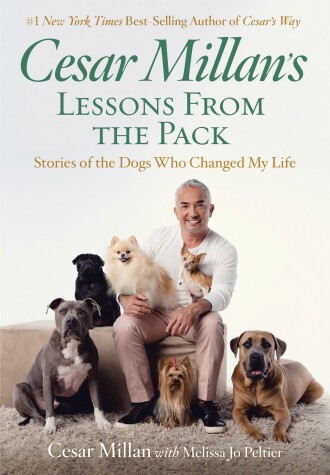 Book cover for Cesar Millan's Lessons from the Pack