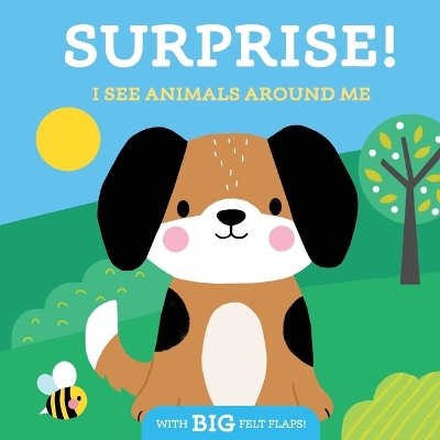 Cover of Surprise! I See Animals Around Me