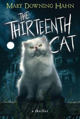 Book cover for Thirteenth Cat