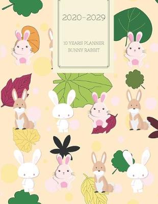 Book cover for 2020-2029 10 Ten Year Planner Monthly Calendar Rabbit Bunny Goals Agenda Schedule Organizer