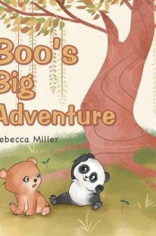 Cover of Boo's Big Adventure