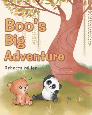 Book cover for Boo's Big Adventure