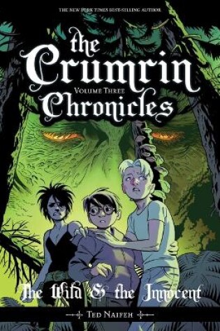 Cover of The Crumrin Chronicles Vol. 3