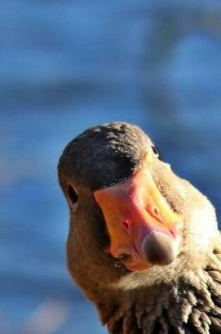 Cover of Photo Bombing Goose