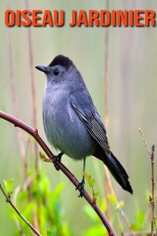 Cover of Oiseau Jardinier