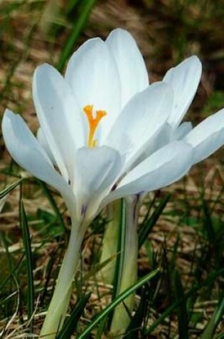 Cover of White Crocus Spring Flower Journal