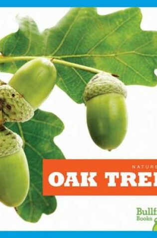 Cover of Oak Trees