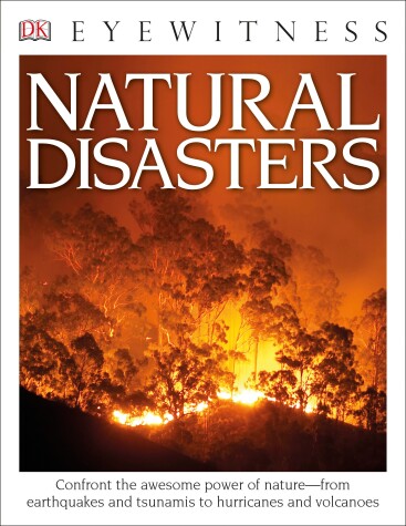 Book cover for Eyewitness Natural Disasters