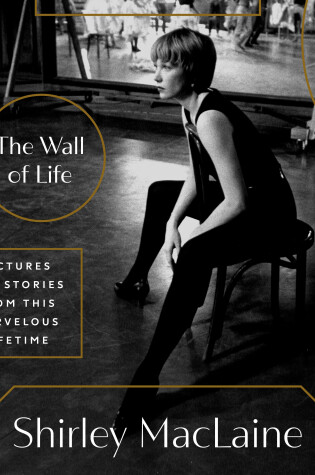 Cover of The Wall of Life