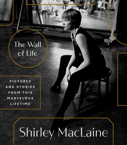 Book cover for The Wall of Life