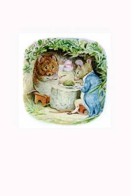 Book cover for Beatrix Potter Johnny Town Mouse and Timmy Willie