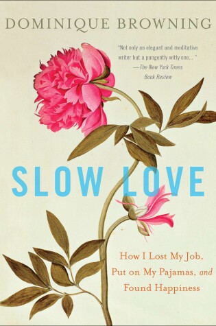 Cover of Slow Love