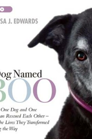 Cover of A Dog Named Boo