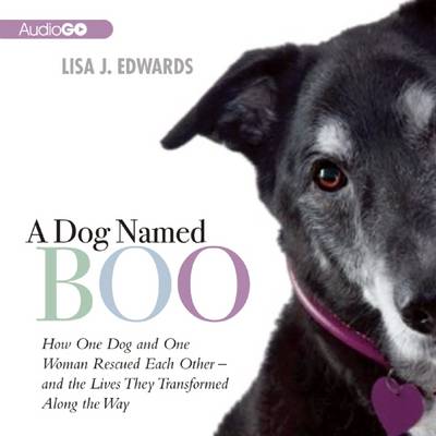 Book cover for A Dog Named Boo
