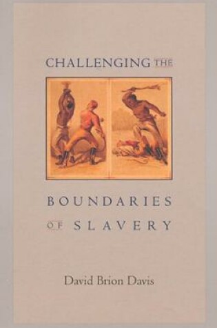 Cover of Challenging the Boundaries of Slavery