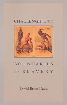 Book cover for Challenging the Boundaries of Slavery