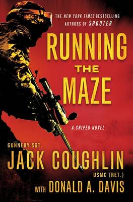 Book cover for Running the Maze