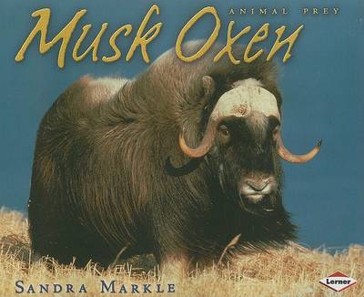 Book cover for Musk Oxen