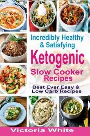 Cover of Incredibly Healthy and Satisfying Ketogenic Slow Cooker Recipes