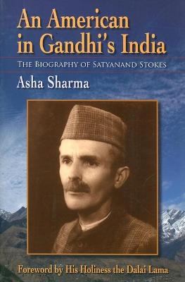 Book cover for An American in Gandhi's India